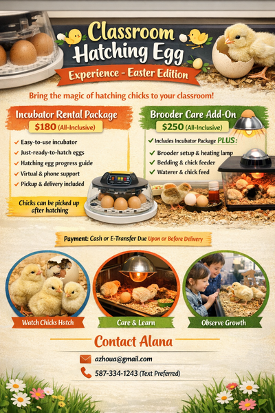 Incubation Rental Program - Hatch Your Own Chicks Stree free!, View more