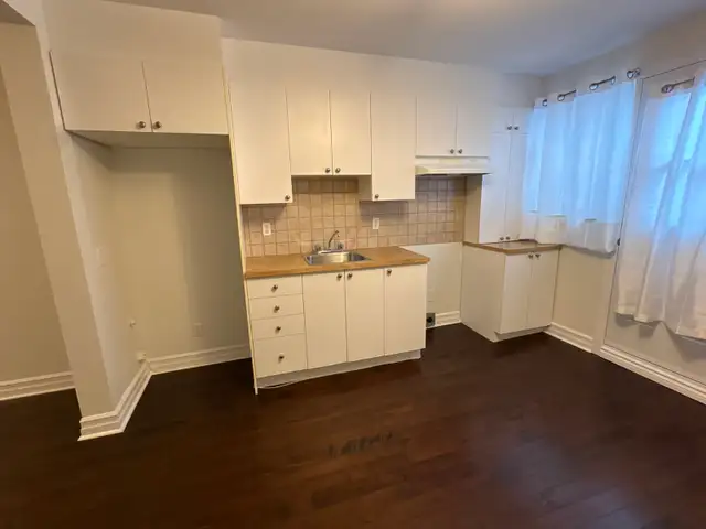 MÉTRO JOLIETTE: TRÈS GRAND 3 1/2 ENSOLEILLÉ RDC, HOCHELAGA, COUR