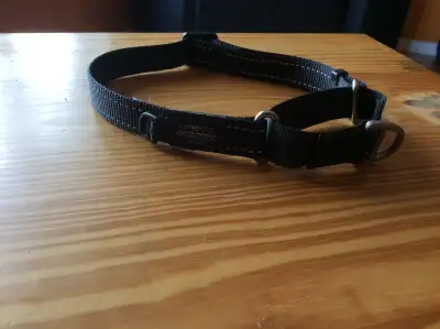 Collier Authentic Rogz Gear pour chien, View more