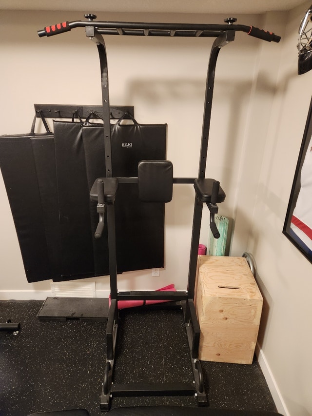 Power Tower Chin up Dip Stand Exercise Equipment Calgary Kijiji