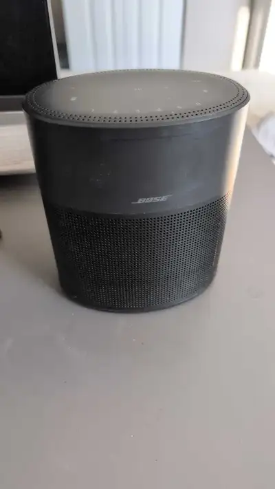 300 model. Beautiful speaker love it, has served me well. Moving.