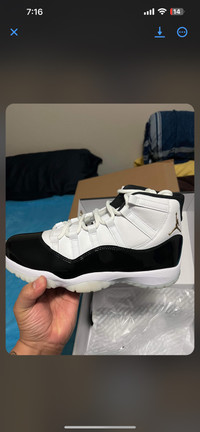 Jordan 11 Gratitude size 10.5