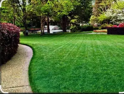 Landscaping and home exterior maintenance , View more