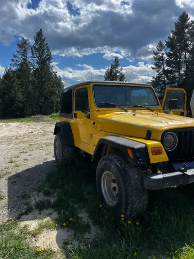Selling my 2002 Jeep TJ too small for family and has sat since last fall. Fresh oil change, 3” lift...
