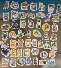 Watercolor Cat Sticker 50 Pieces Stickers New