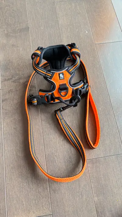 Harnais réfléchissant et anti- étranglement. Pour petit chien avec 2 clips. Très bien fait rembourse...