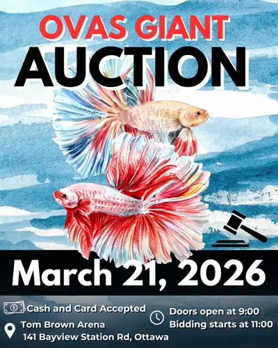Ottawa Valley Aquarium Society Giant Auction, View more