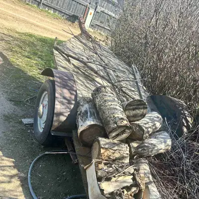 Spring cleaning, looking for its new home. Deck could be replaced Tires should be replaced I believe...