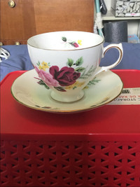 Queen Anne Cup And Saucer