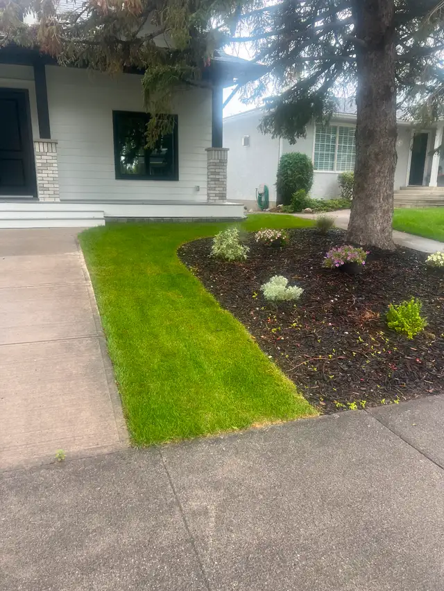 Lawn mowing 50 ,yard clean up, SOD installation, pressure wash63235196032641126