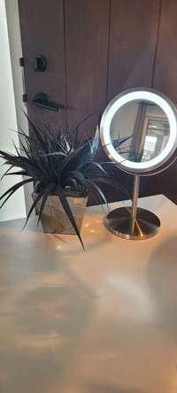Maecup Mirror with light and Silver Black pot