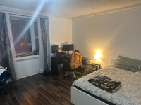 Master bedroom in 2 bedroom apartment available for rent 