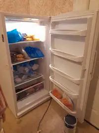 Amana Upright freezer 