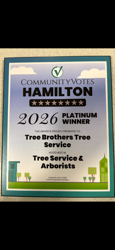 Tree trimming and removal !, View more