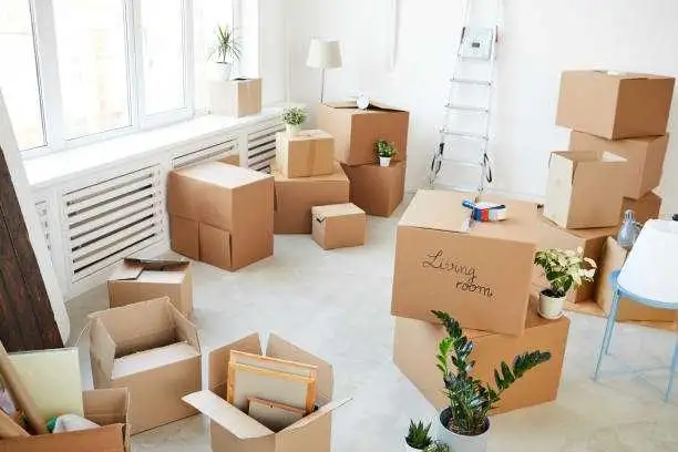 Need Movers??529836206415554562