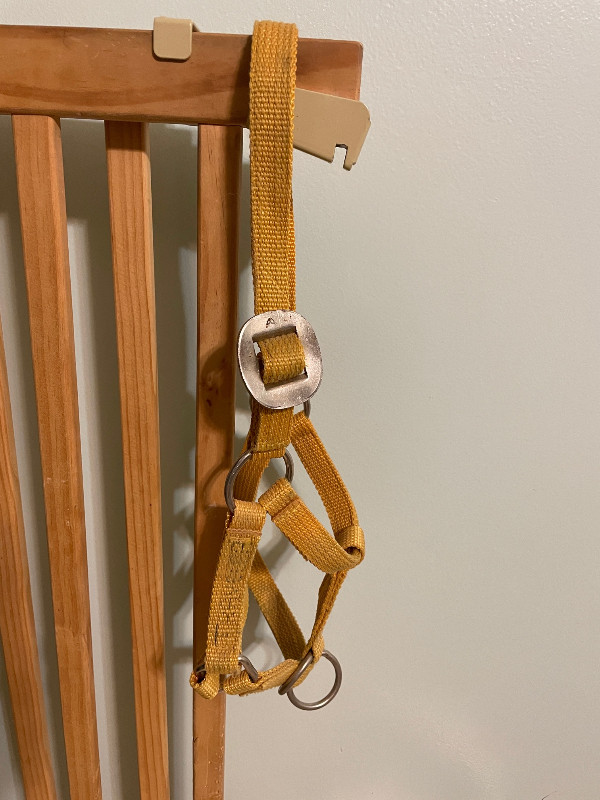 Two Sz Small Horse halters (foal): Nylon and Leather, new in Equestrian & Livestock Accessories in Saskatoon - Image 2