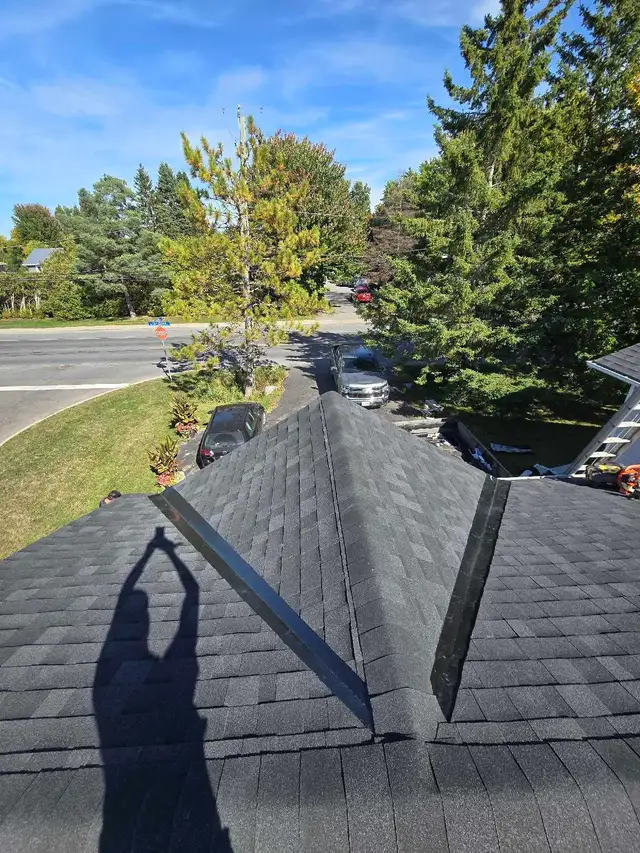 Roofing Services: Flat, Metal, and Shingle478649641819842564