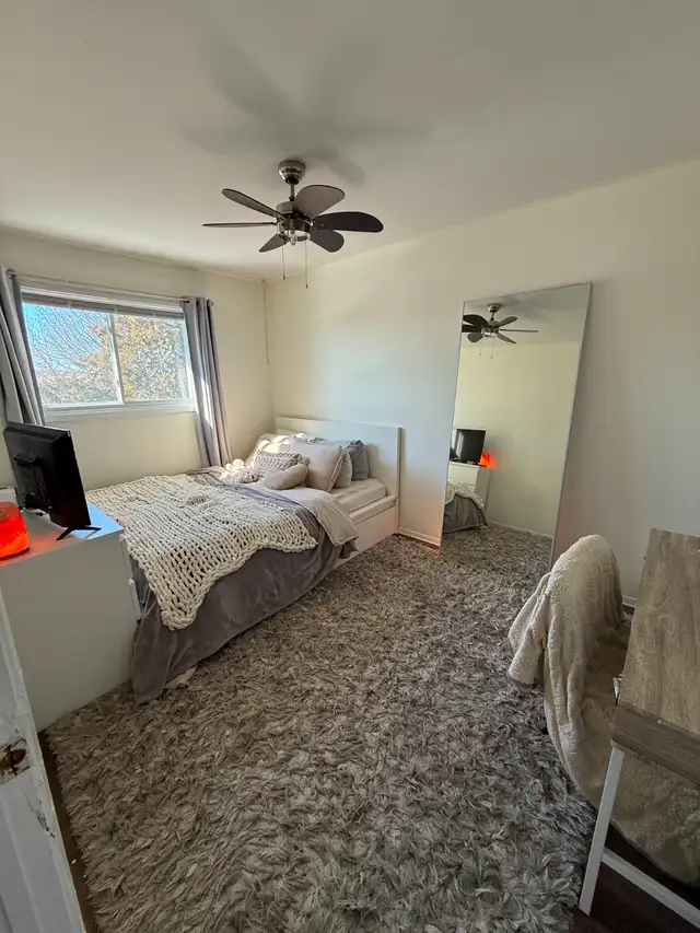 Roommate wanted for Awesome Student Home