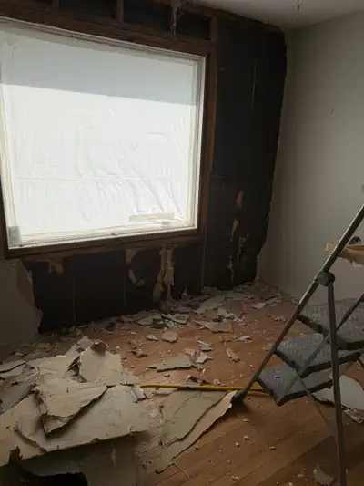 hazardous waste removal, View more