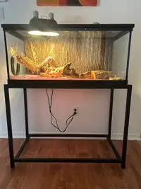 40 gallon terrarium with accessories