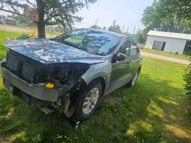 2020 ford escape se 553848841165885441