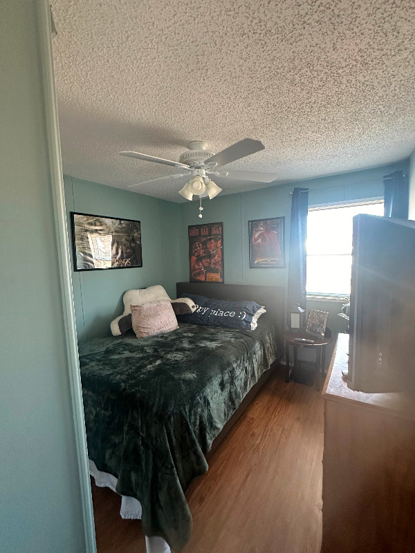 ROOM FOR RENT in Long Term Rentals in Calgary