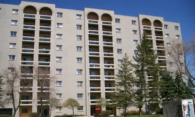 Affordable 1BR Near U of M – $1300 All-In, Newly Renovated! Image# 1