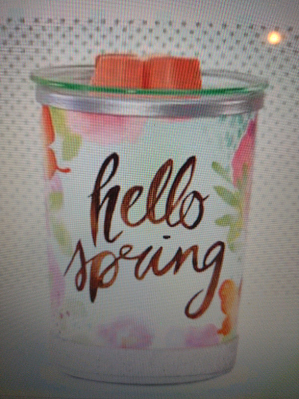 "Hello Spring" Scentsy wax warmer with one pack of wax in Home Décor & Accents in Thunder Bay