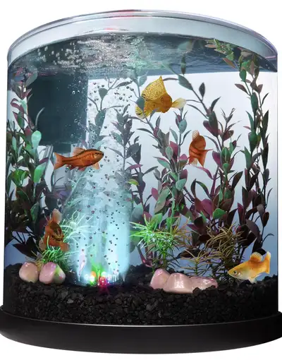 This is a used Tetra 3 Gallon Half Moon fish tank, perfect for a small space. It comes complete with...