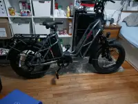750w e-bike