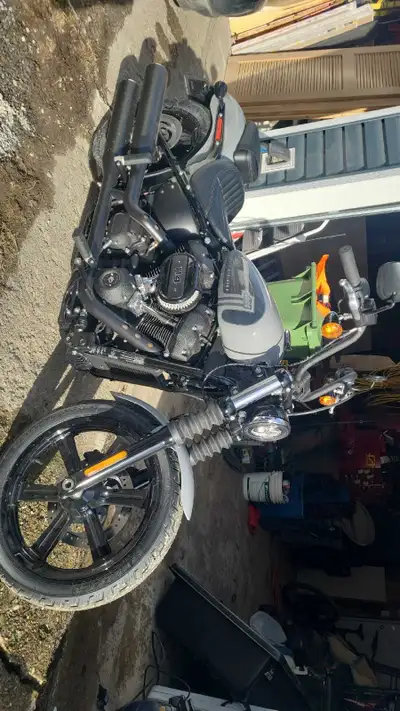 2024 street Bob. Showroom condition. Only have 777km on it. Hasn't even had it's first service yet....