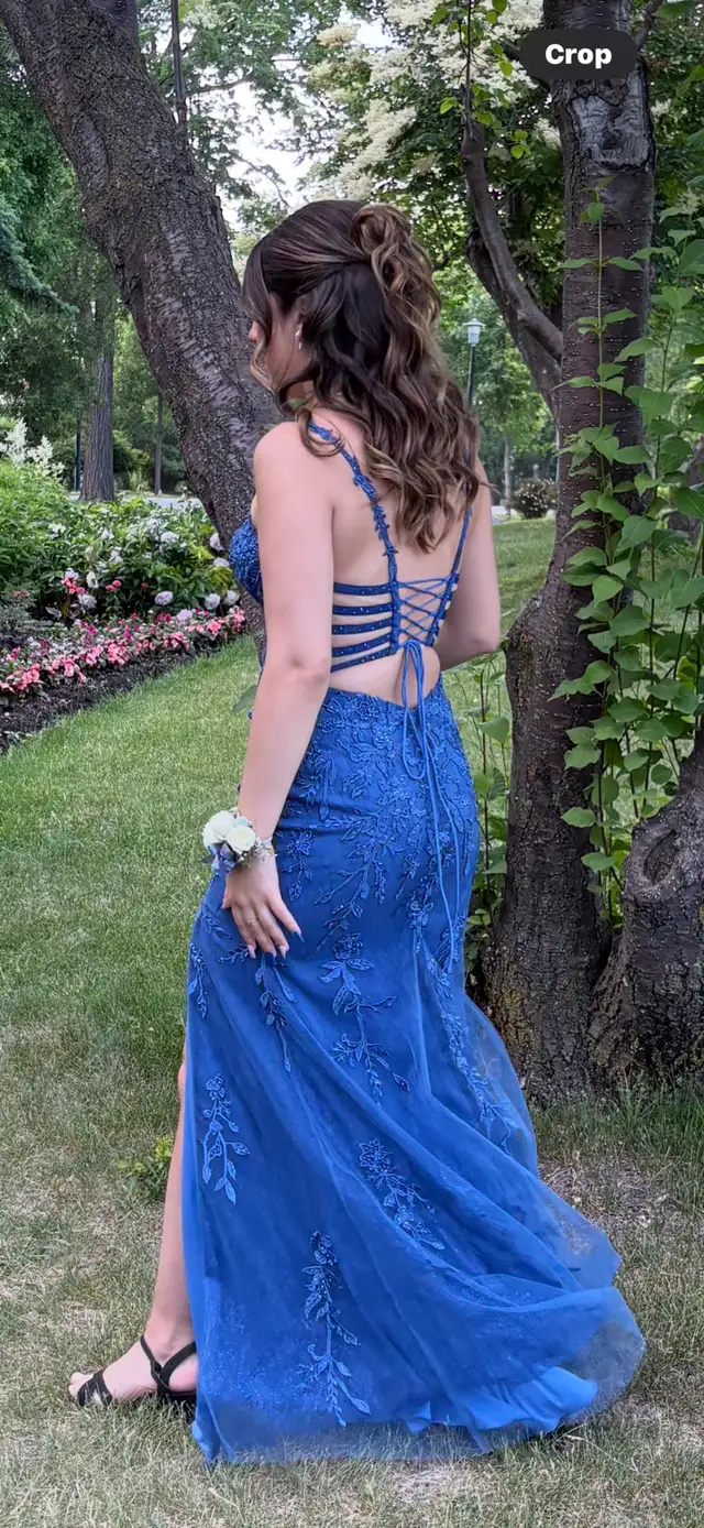grad/prom dress | Women's - Dresses & Skirts | Winnipeg | Free local ...
