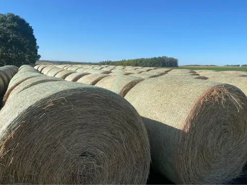 DELIVERY ONLY (ALL PRICES INCLUDE TRUCKING) $220 short ton 2024 Alfalfa grass mix round bales (30%-4...