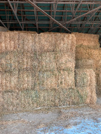 Big square hay bale 3’x3’x6’ for sale