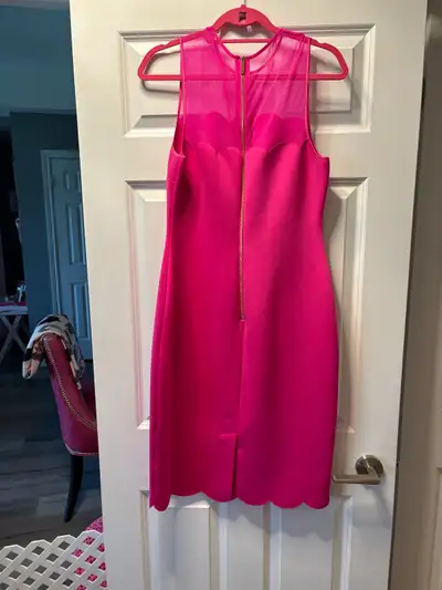 Absolutely beautiful Ted Baker dress Wore it one afternoon Size 4 nice gold zipper down the back Nic...