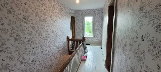 Professional Painter 30 yrs experience 439732277263749121