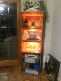 Display cabinet with lights for sale 