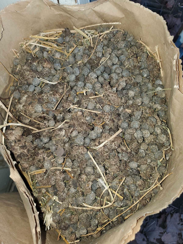 Rabbit Manure  in Plants, Fertilizer & Soil in Kamloops