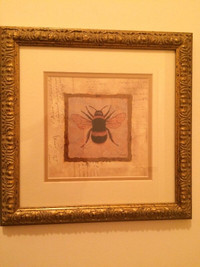 frame with bee