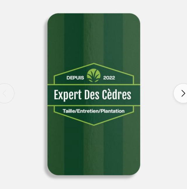 Taille de cèdres  in Cleaners & Cleaning in Gatineau