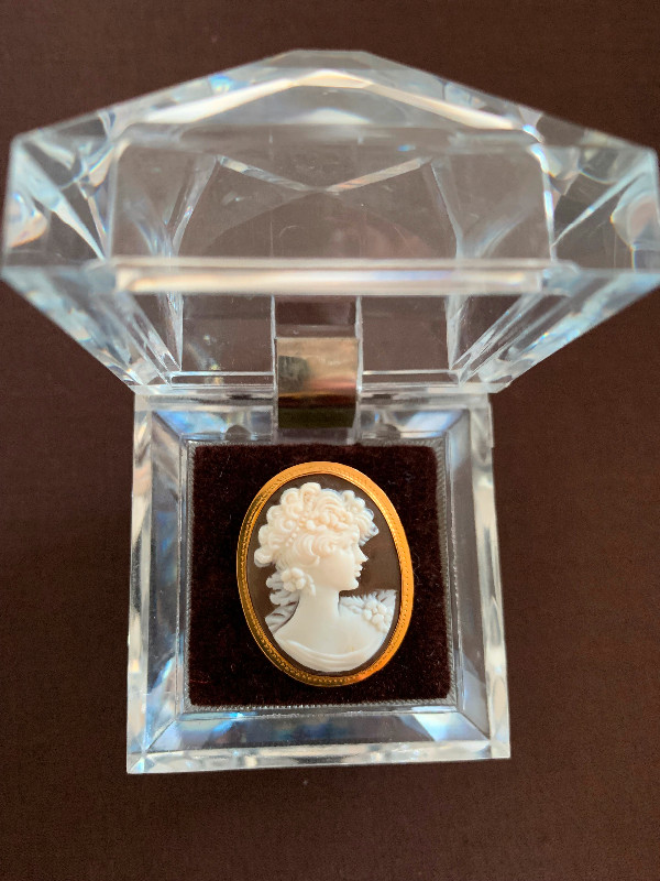 Cameo Pendant in Jewellery & Watches in St. John's