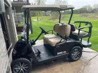2016 EZGO electric golf cart