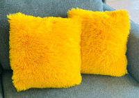 NEW Two 18x18 Throw Pillows