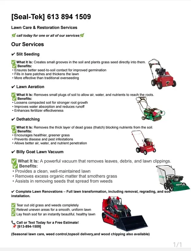 Spring yard clean up417316098267555848