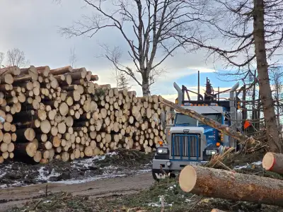 Looking for class 1 log truck driver for the summer season, local hiway hauls into Prince George. Co...