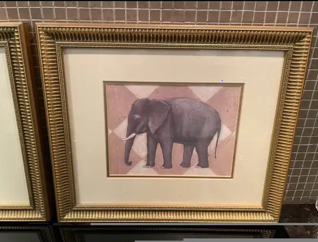 2 exotic frames - Lebourgneuf64396544390787121