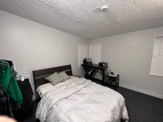 Private room for rent in Room Rentals & Roommates in Hamilton - Image 2