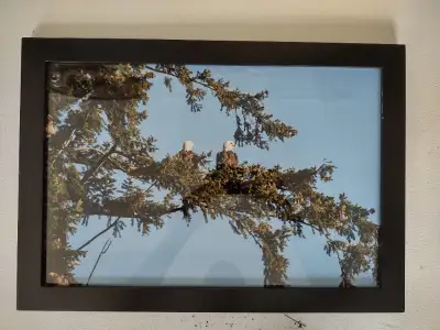 Framed photos, View more