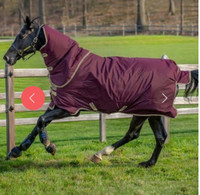 Horse blanket - Amigo Hero Ripstop Plus Turnout (0g Lite) sz 78