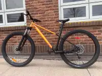 2020 Rocky mountain growler 20 bike 